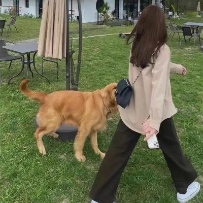 小英雄杜杜